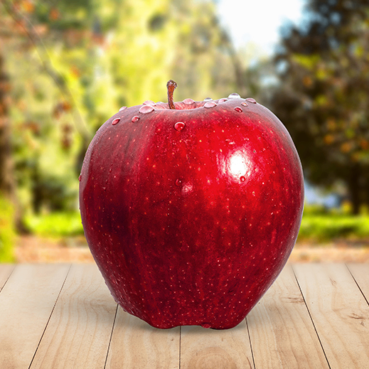 adelingo (adelingo.lens) Lens social identity (.lens handle) PFP