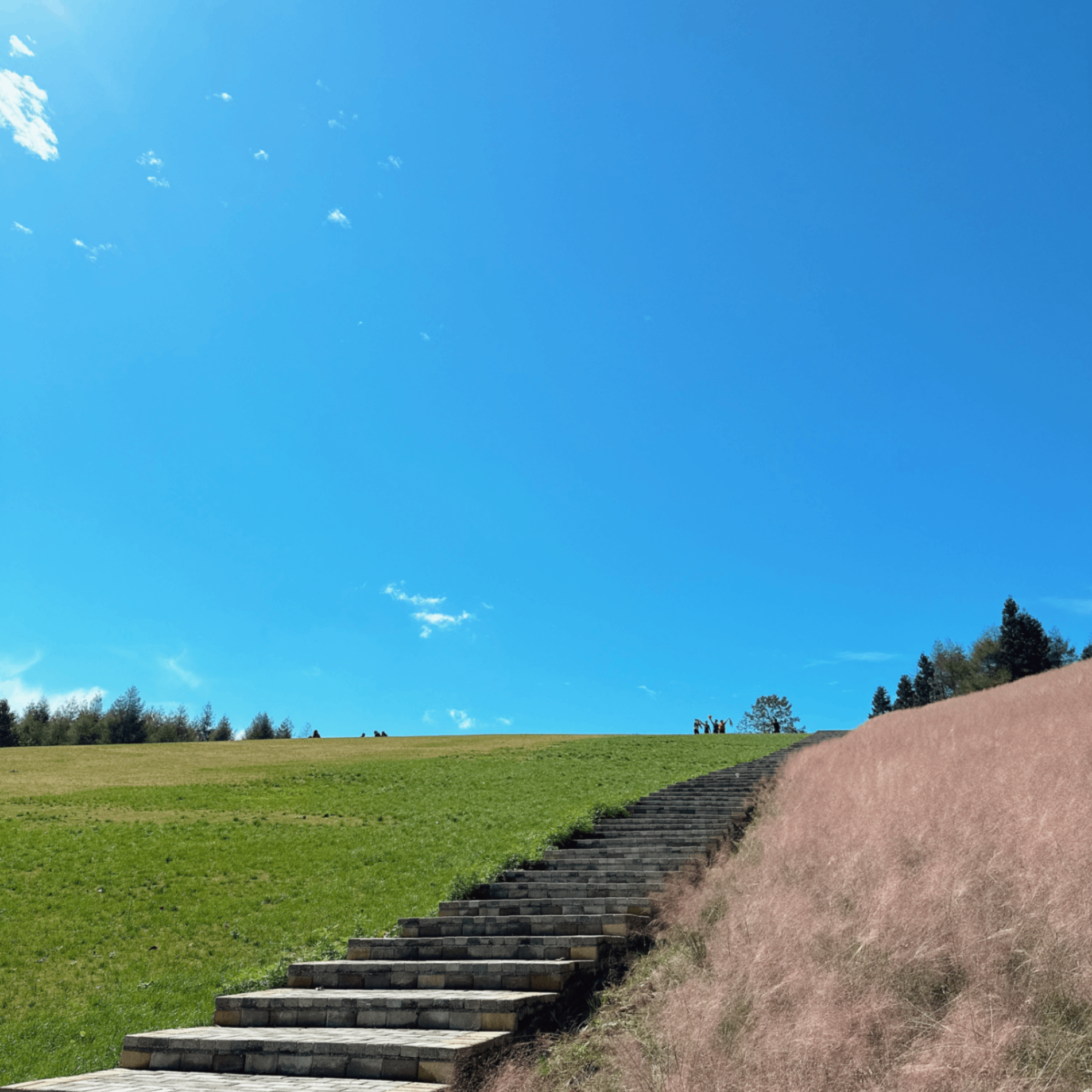 Simi (byddd.lens) Lens social identity (.lens handle) PFP