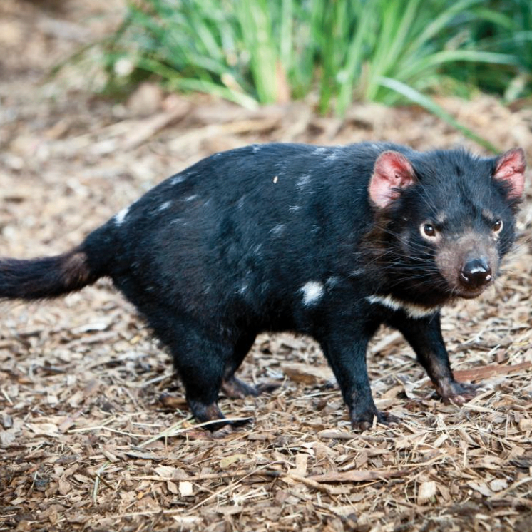 jbjkbjbnmnm (vttttt.lens) Lens social identity (.lens handle) PFP