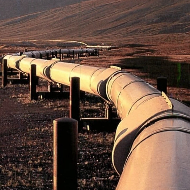 Gazavchik (gayzov.lens) Lens social identity (.lens handle) PFP