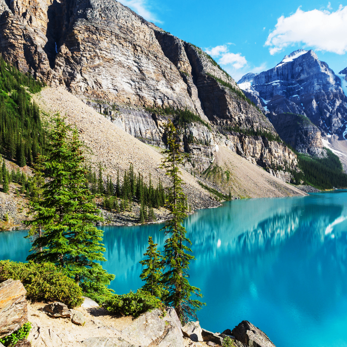 YEAXIU (yeaxiu.lens) Lens social identity (.lens handle) PFP