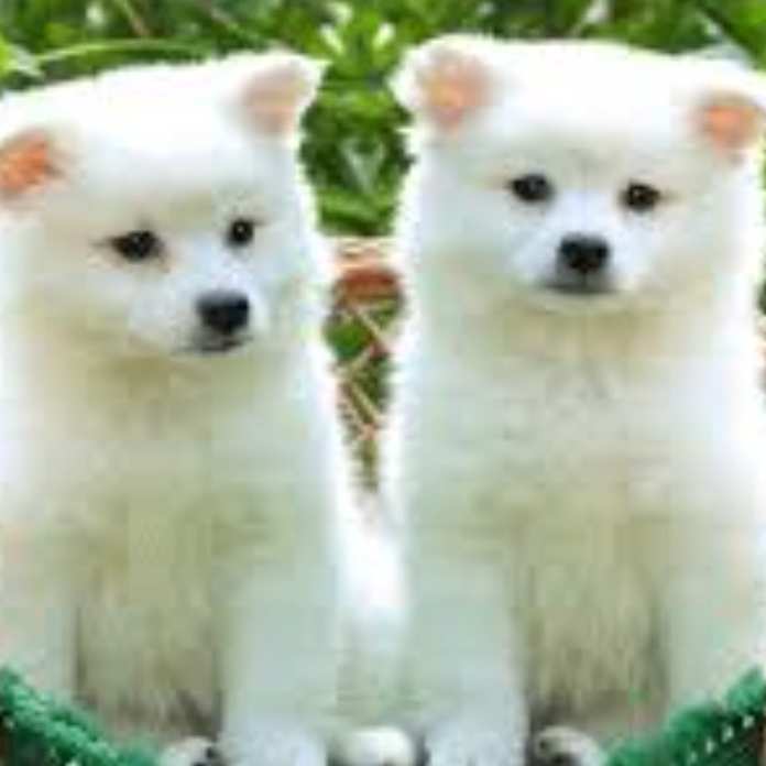 fgcvghjhbj (sswwee.lens) Lens social identity (.lens handle) PFP