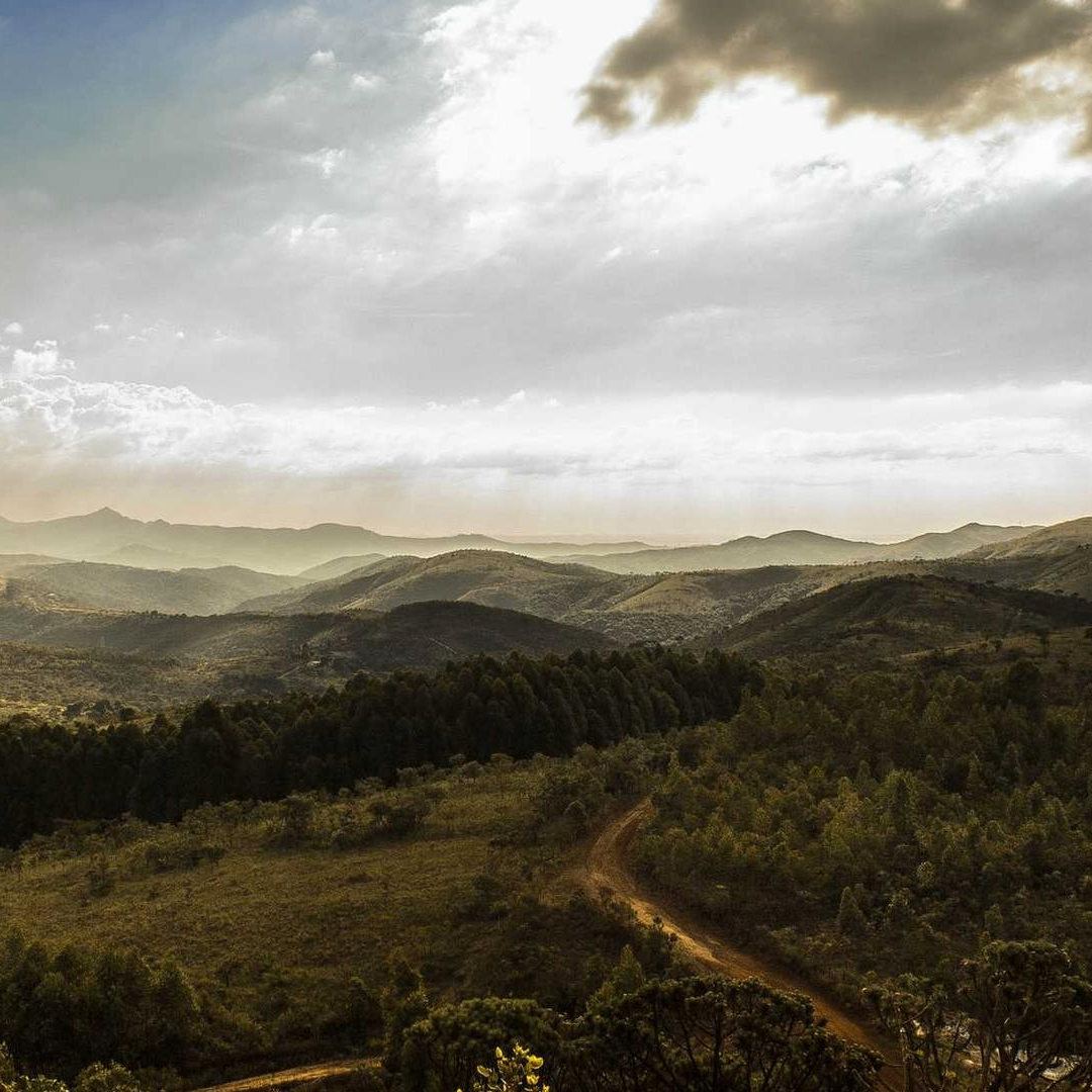 palettePassionate (bouyrozell62354.lens) Lens social identity (.lens handle) PFP