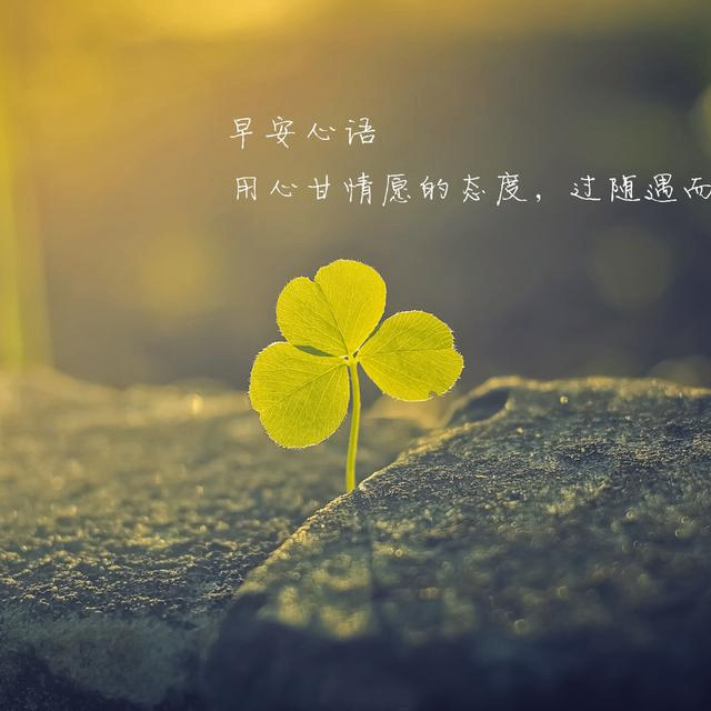 gj (rylix.lens) Lens social identity (.lens handle) PFP