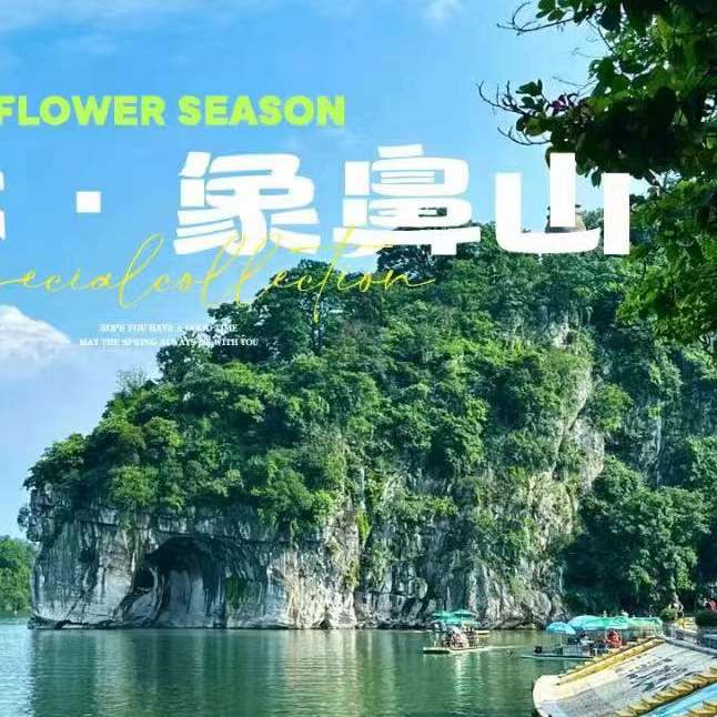 gotode (gotode.lens) Lens social identity (.lens handle) PFP