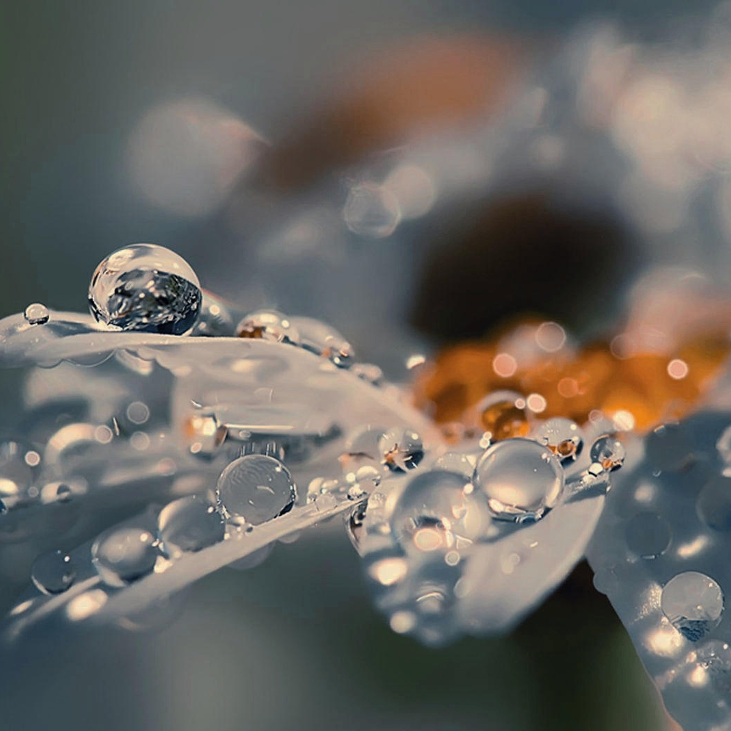 dfg (coinsync.lens) Lens social identity (.lens handle) PFP