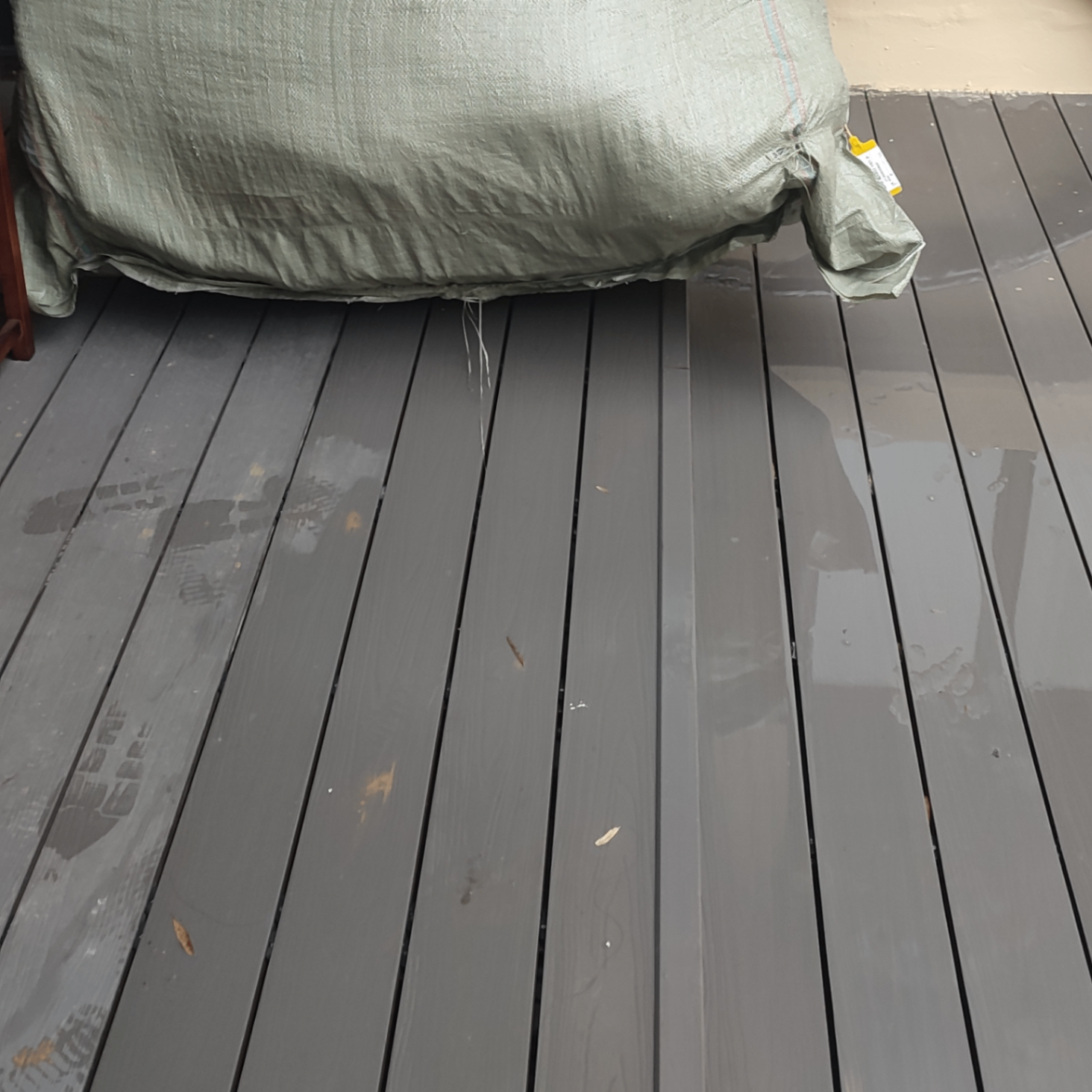 monlre (85651.lens) Lens social identity (.lens handle) PFP