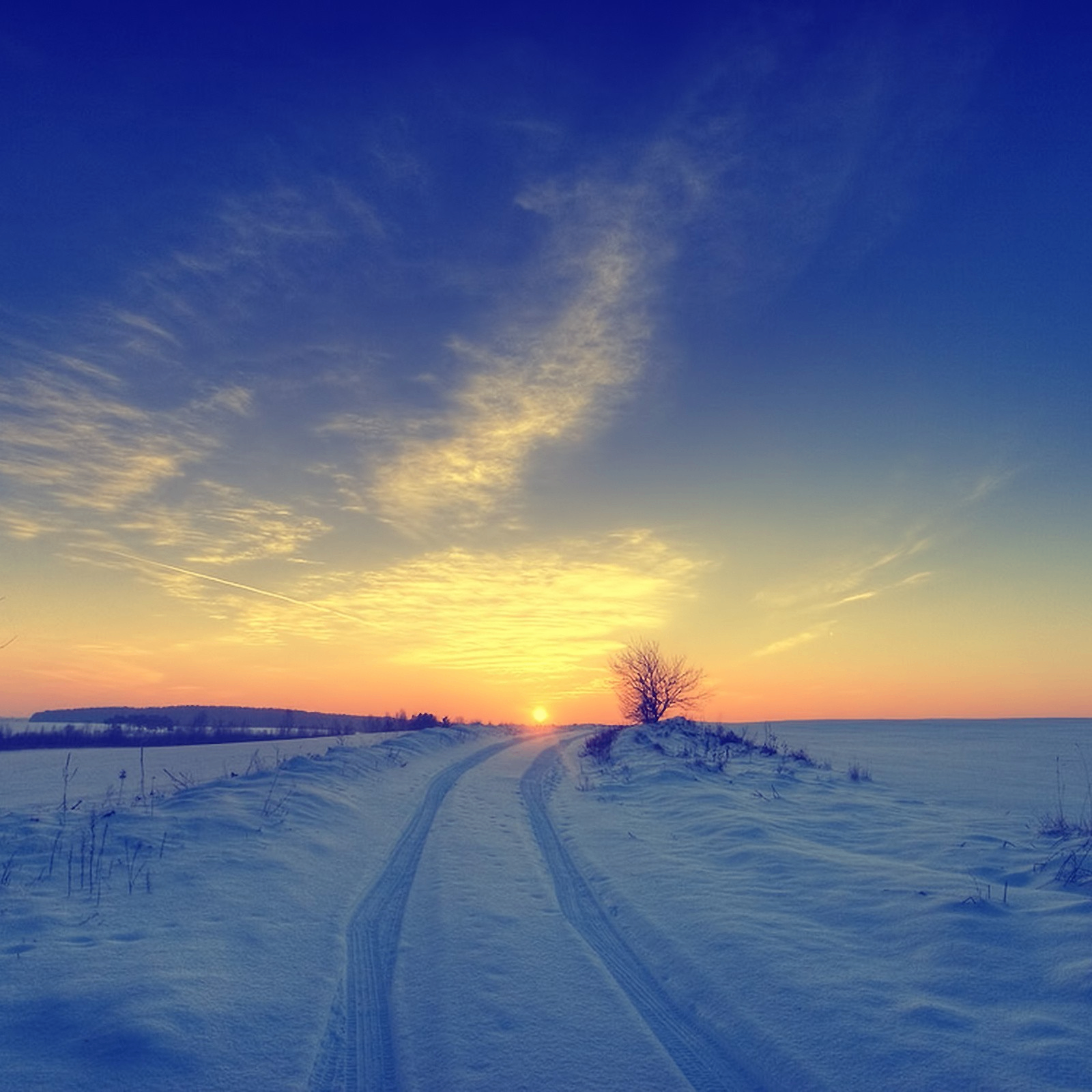 vhbdsfz (vaultvalor.lens) Lens social identity (.lens handle) PFP