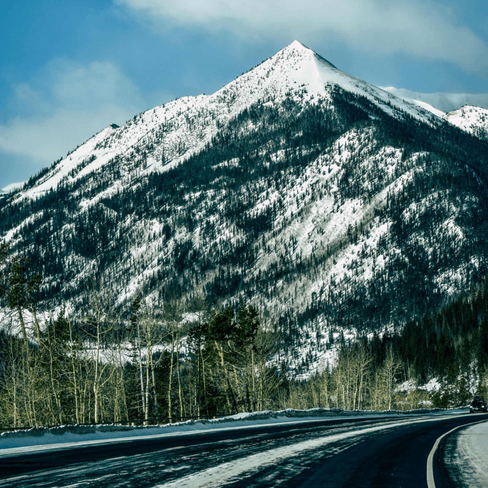 Inbird (inbird.lens) Lens social identity (.lens handle) PFP