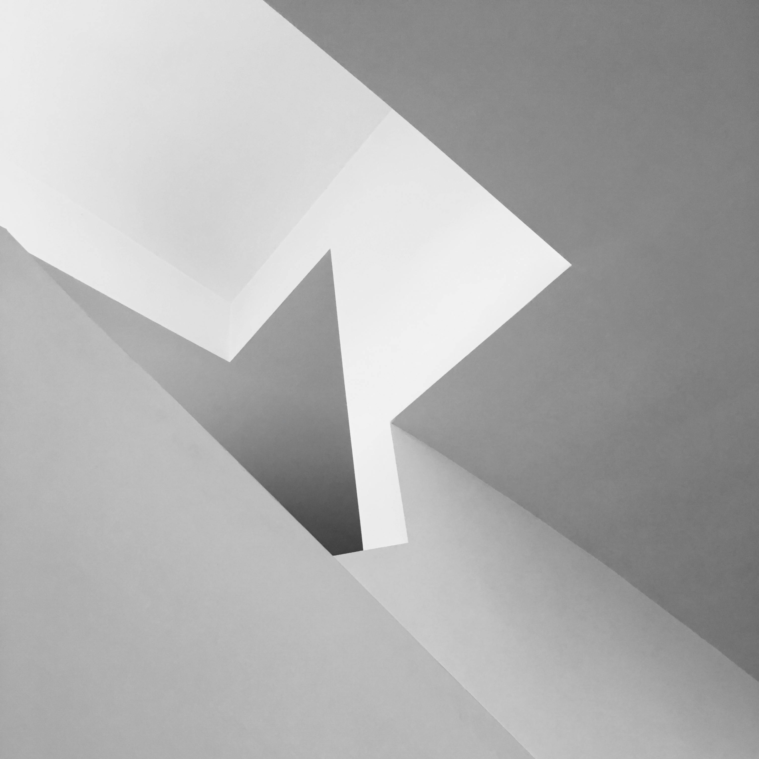 zebux (zebux.lens) Lens social identity (.lens handle) PFP