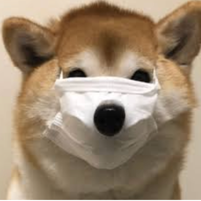 vbcvbcbvb (frrrrr.lens) Lens social identity (.lens handle) PFP