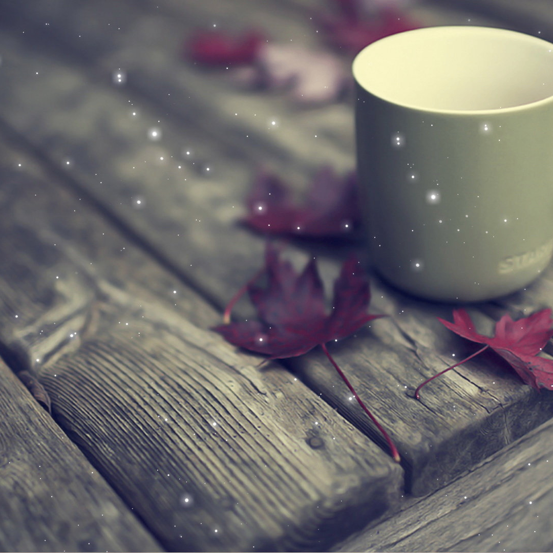 cb (tokenstream.lens) Lens social identity (.lens handle) PFP