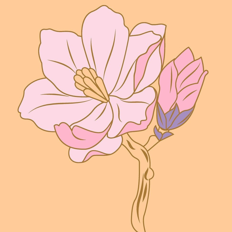 555 (a555faa.lens) Lens social identity (.lens handle) PFP