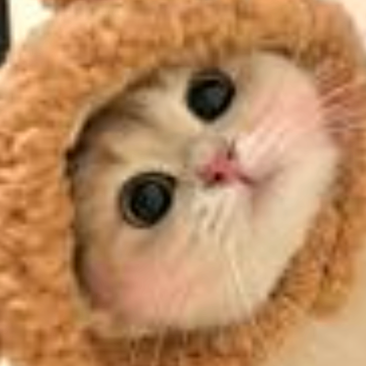 hkjhkjhjk (mmmme.lens) Lens social identity (.lens handle) PFP