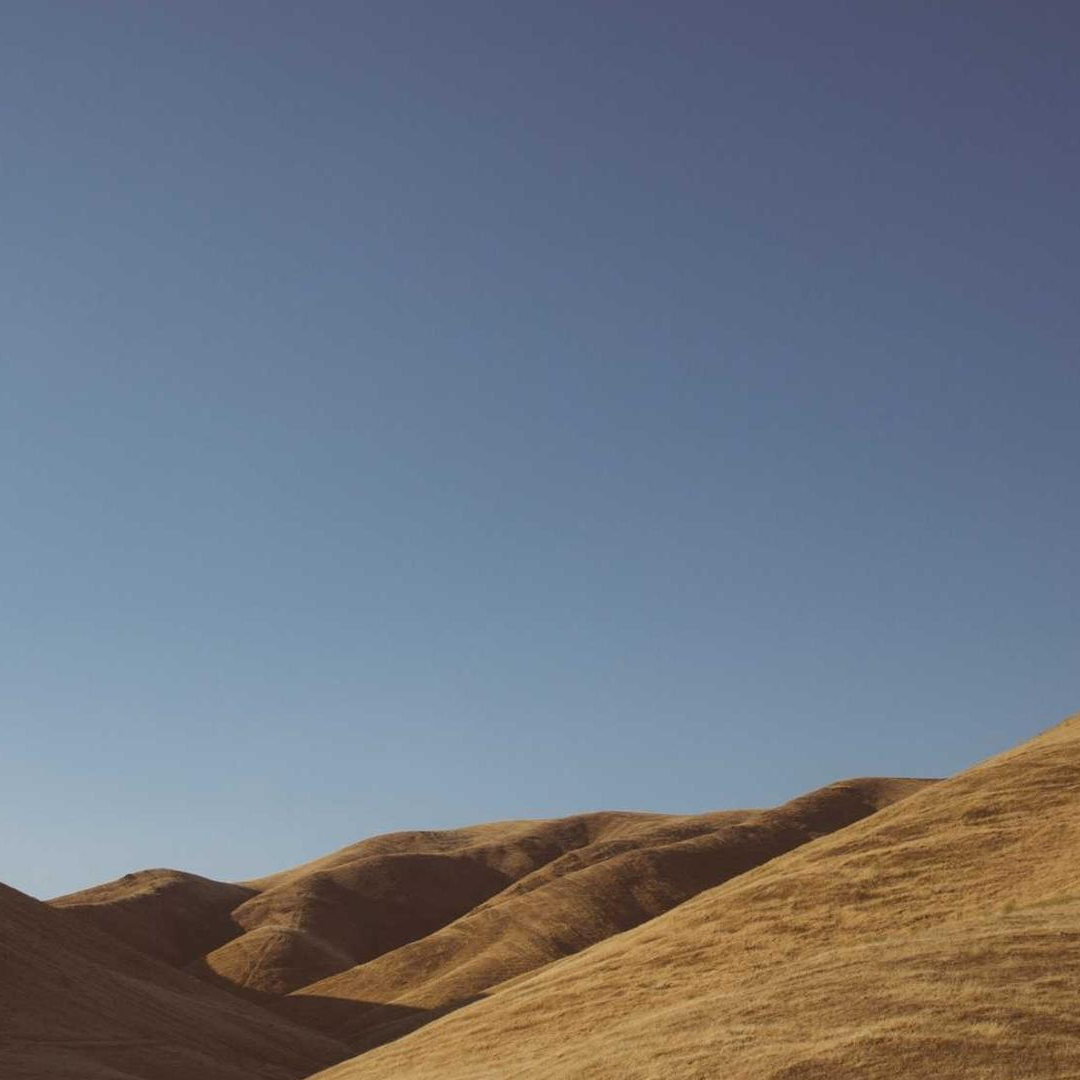 cliffClimber (terrasasc2194.lens) Lens social identity (.lens handle) PFP