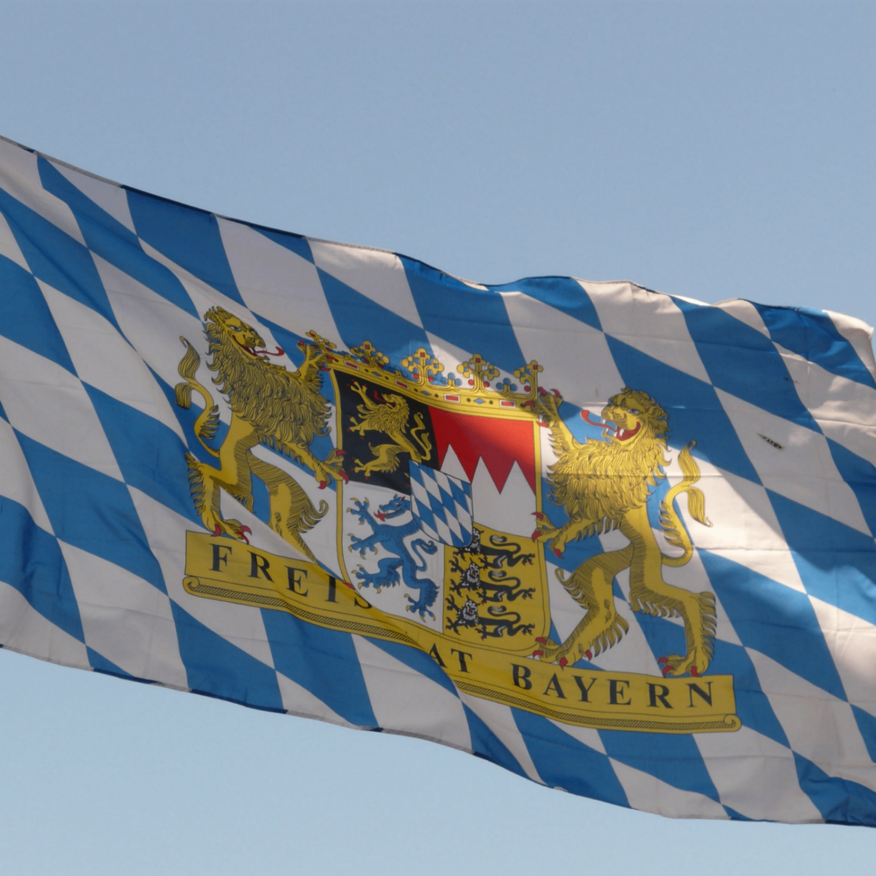 German Psycho (germanpsycho.lens) Lens social identity (.lens handle) PFP