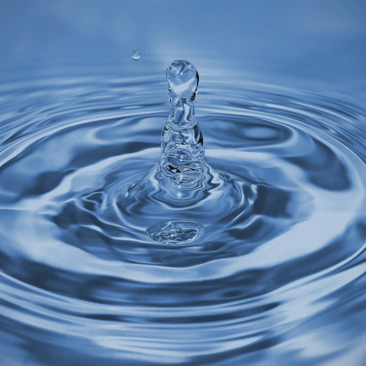 Asdon (asdon.lens) Lens social identity (.lens handle) PFP