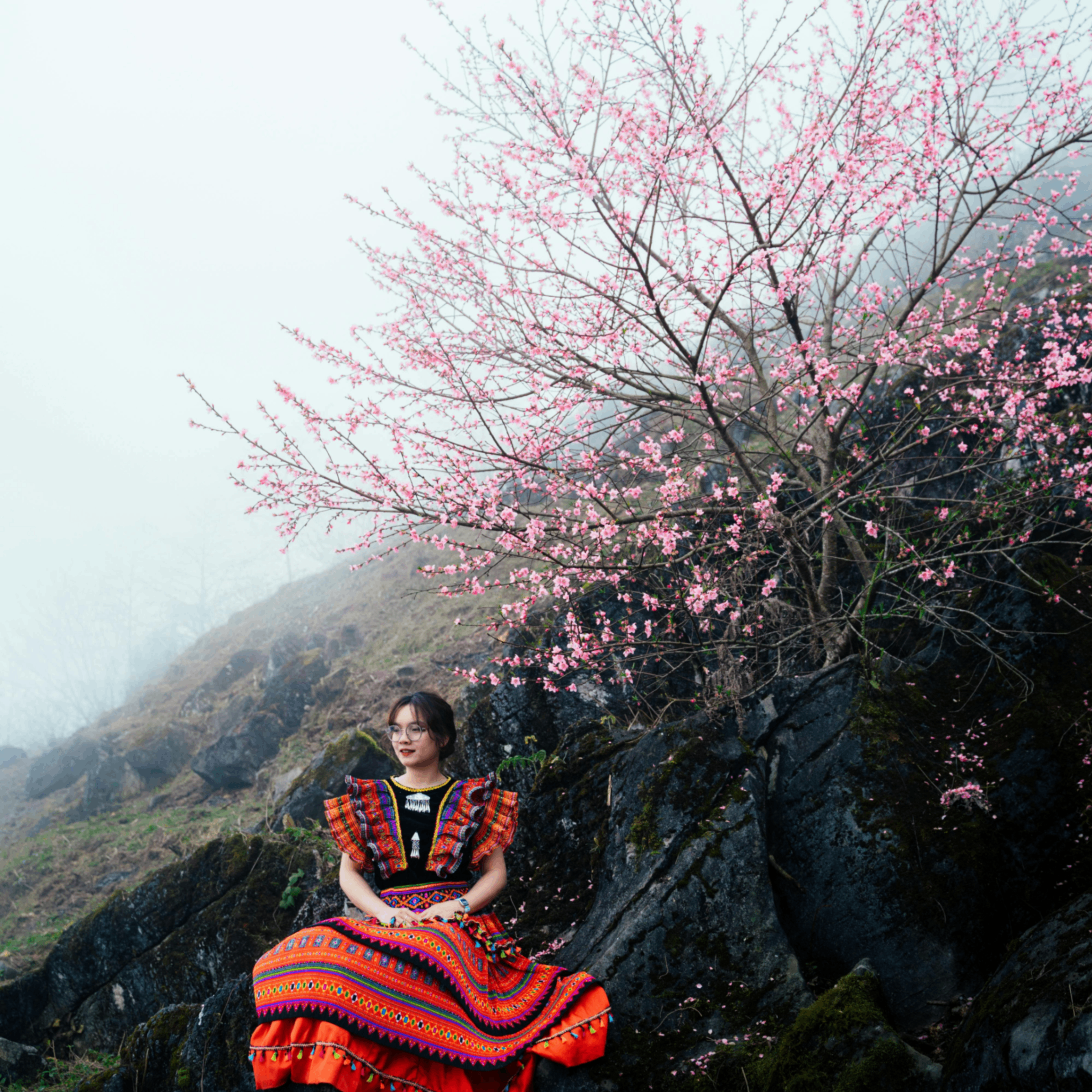 fried (frieq.lens) Lens social identity (.lens handle) PFP