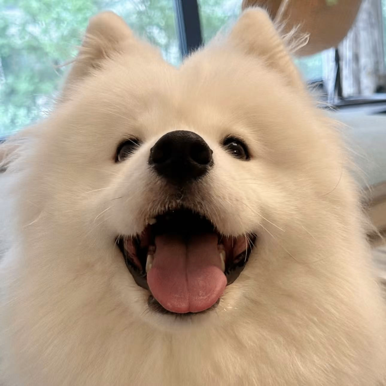 garymartinez784 (garymartinez784.lens) Lens social identity (.lens handle) PFP