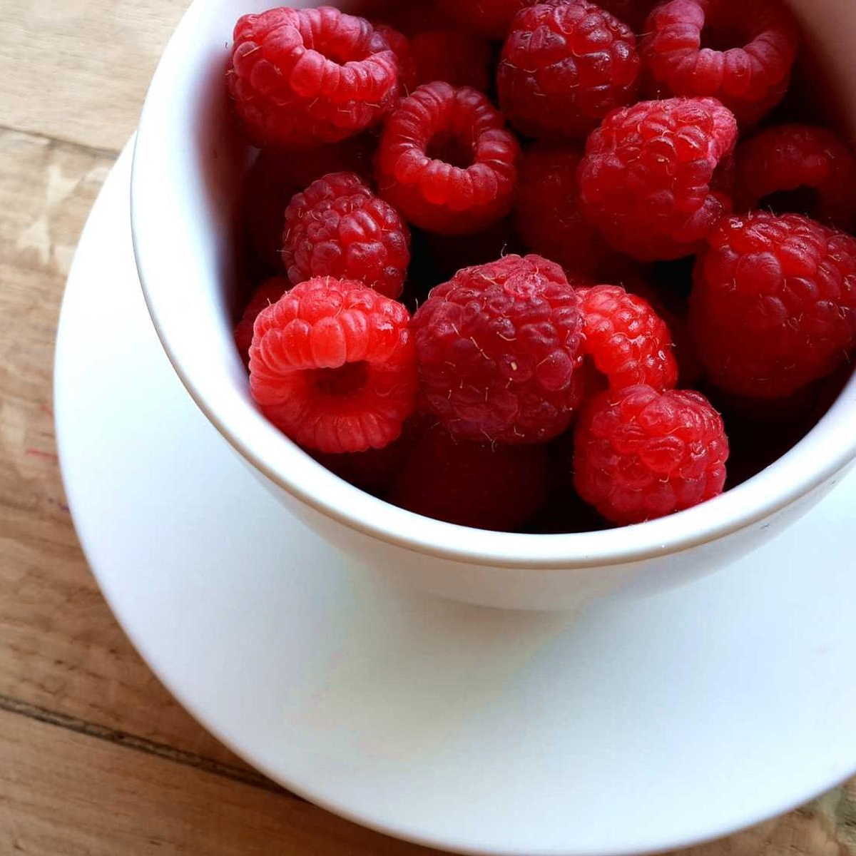 libraryLion (adrianbergstro2.lens) Lens social identity (.lens handle) PFP