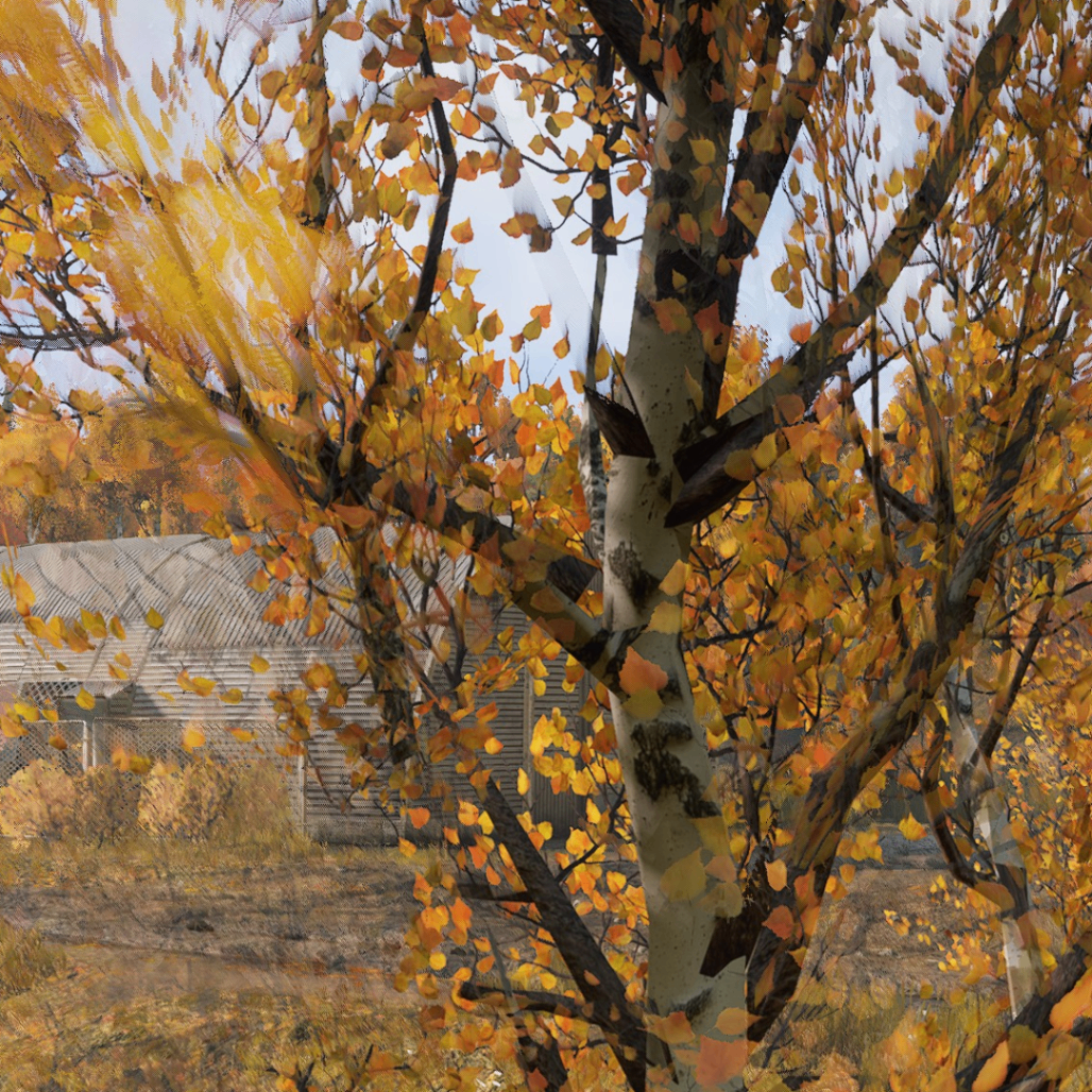 veronika (veronika1990.lens) Lens social identity (.lens handle) PFP