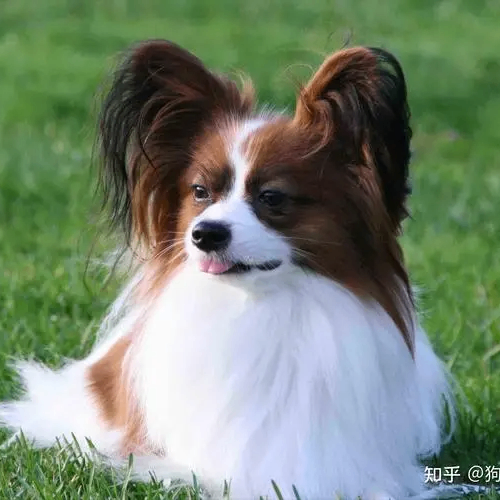 Harry Malan (ddddds.lens) Lens social identity (.lens handle) PFP