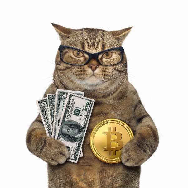 rainbow (rainb0w.lens) Lens social identity (.lens handle) PFP