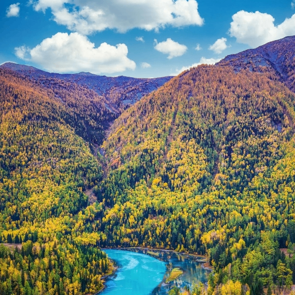 fd4ghtyf (dowel.lens) Lens social identity (.lens handle) PFP