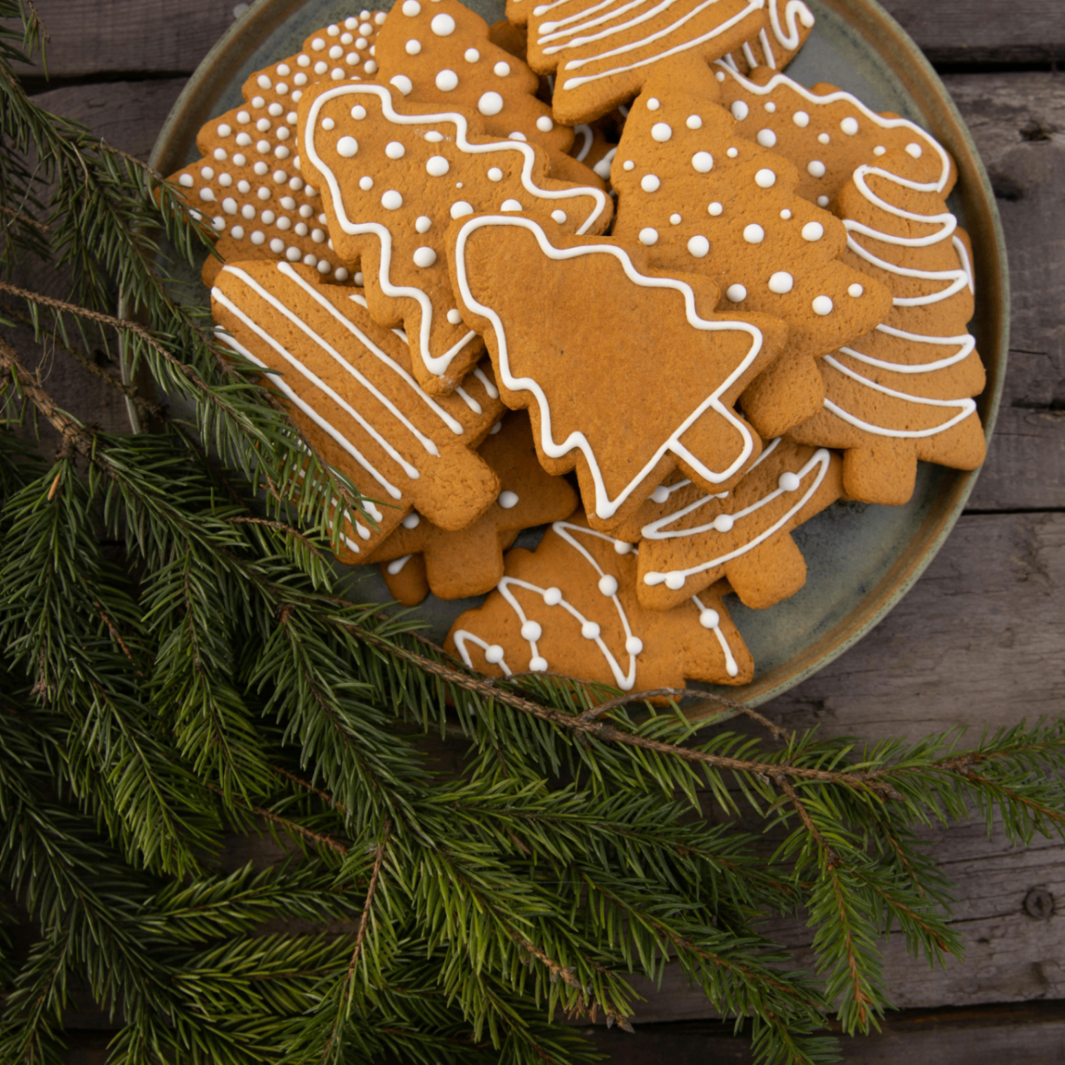 rameez (jrjrjr.lens) Lens social identity (.lens handle) PFP