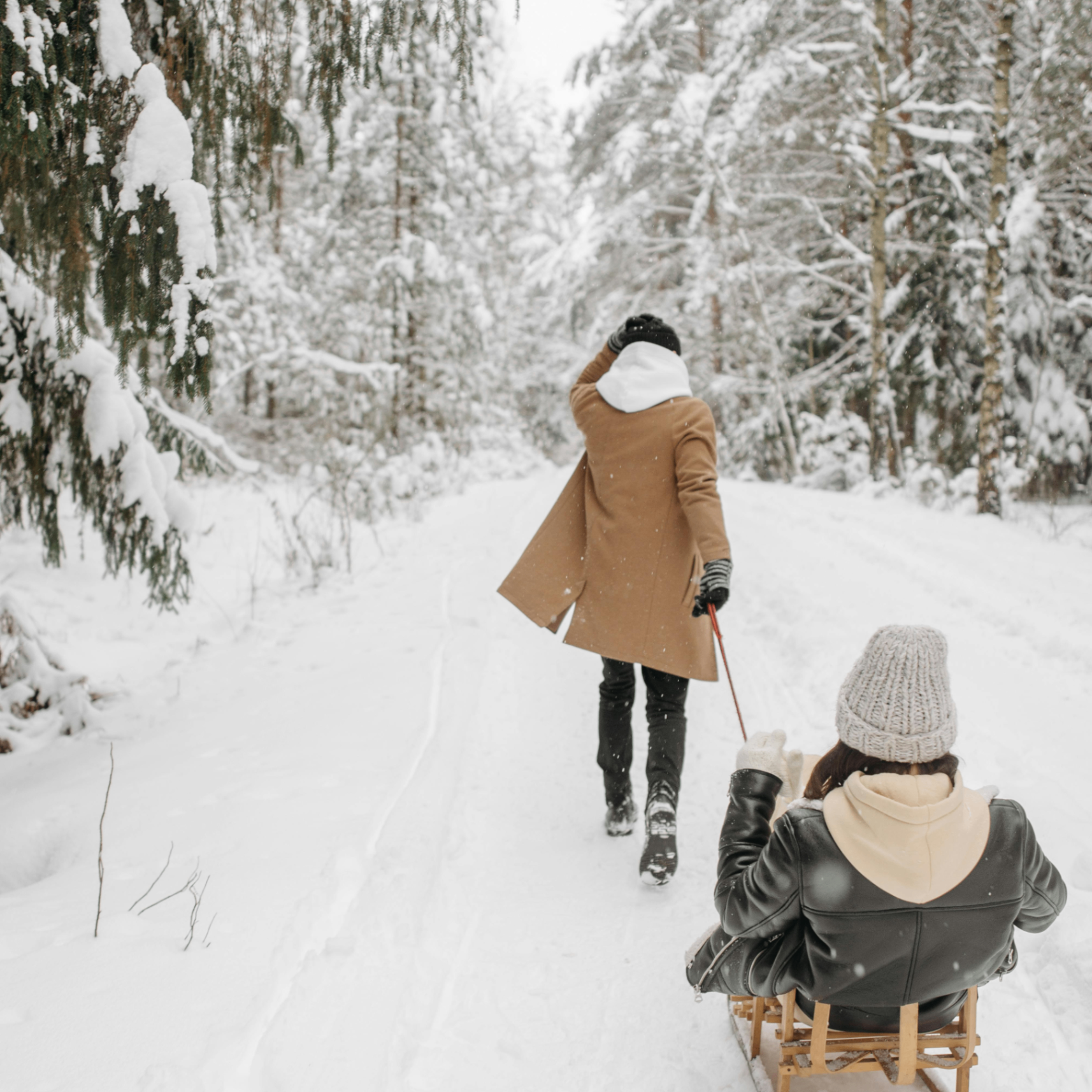 WAFA (wafa2.lens) Lens social identity (.lens handle) PFP