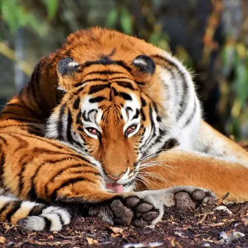 Elton Partridge (eeeeef.lens) Lens social identity (.lens handle) PFP