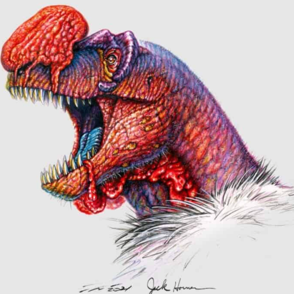 bibtc (bibtc.lens) Lens social identity (.lens handle) PFP