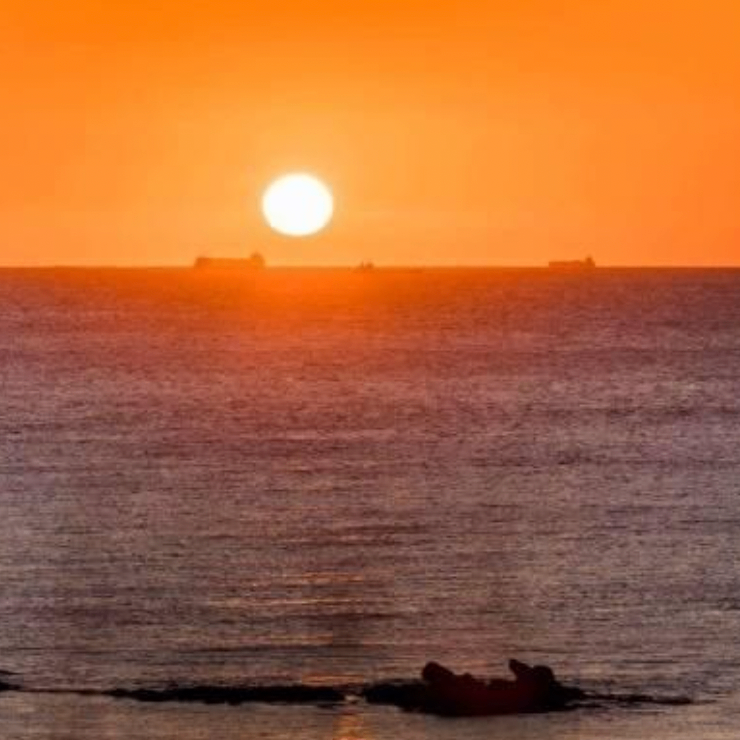 cxzczccc (biiii.lens) Lens social identity (.lens handle) PFP