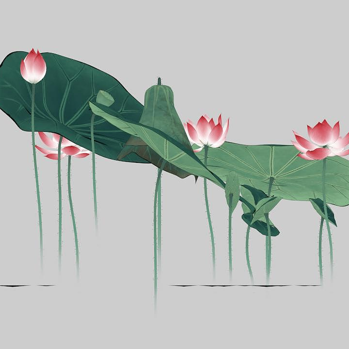 g (metaxin.lens) Lens social identity (.lens handle) PFP