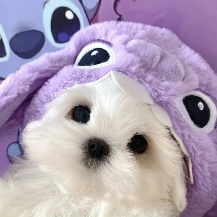 Adrian (wyattbb.lens) Lens social identity (.lens handle) PFP