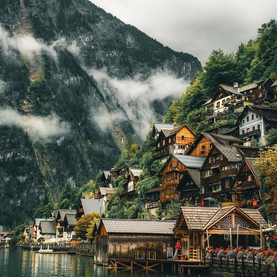 Cute pets club (88806.lens) Lens social identity (.lens handle) PFP