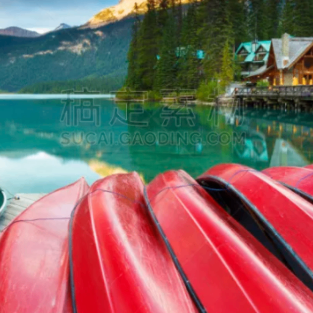 hvbjhj (lwwwww.lens) Lens social identity (.lens handle) PFP