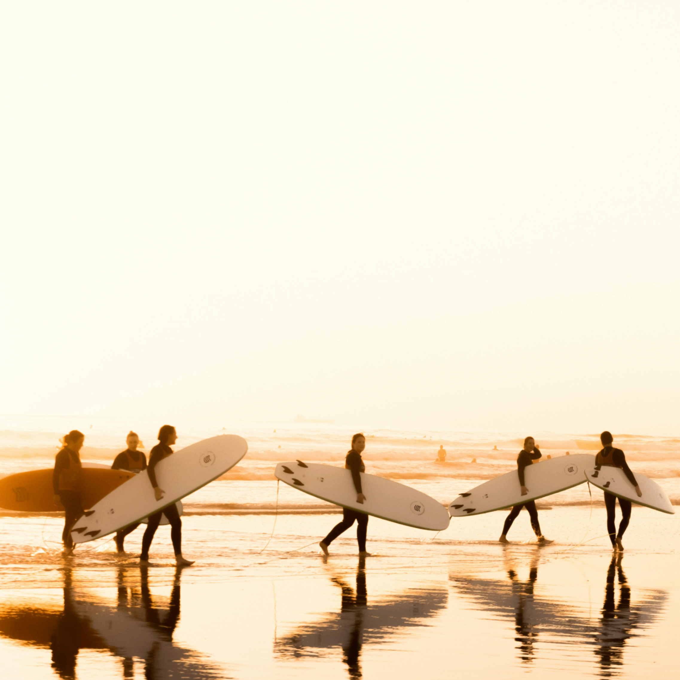 inlet (inlet.lens) Lens social identity (.lens handle) PFP