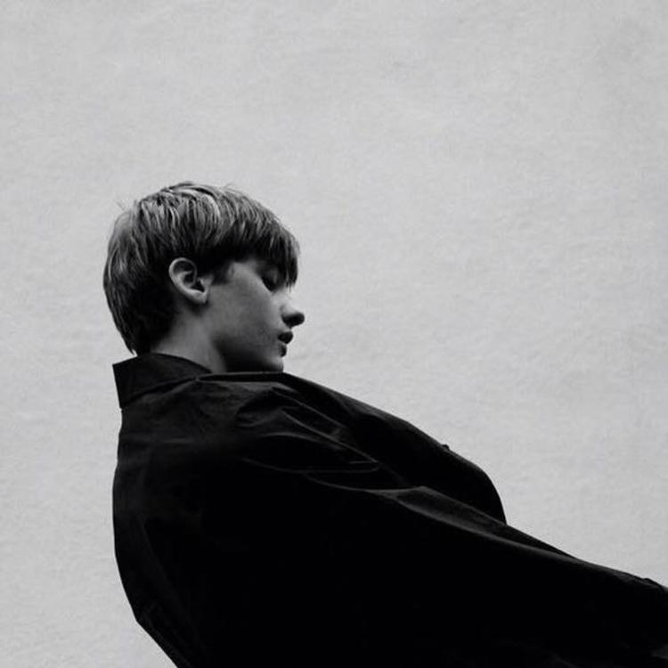 PeacockPioneer (passionpursuit.lens) Lens social identity (.lens handle) PFP