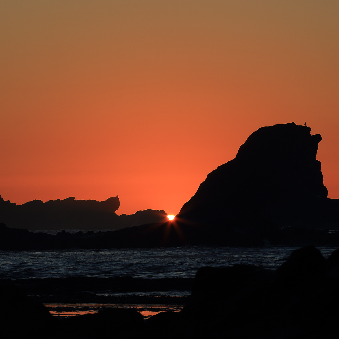 ju (nnnyyu.lens) Lens social identity (.lens handle) PFP