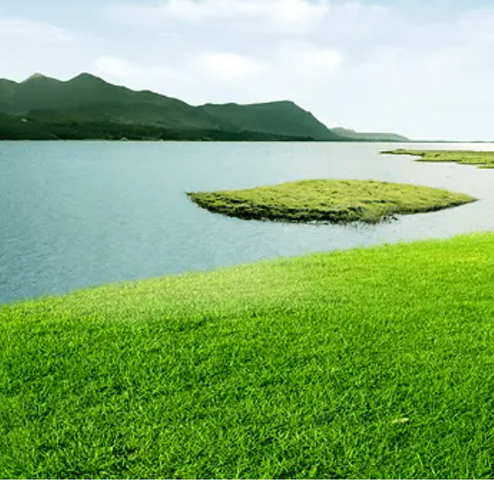 hvhhbnn (hvhjbhj.lens) Lens social identity (.lens handle) PFP