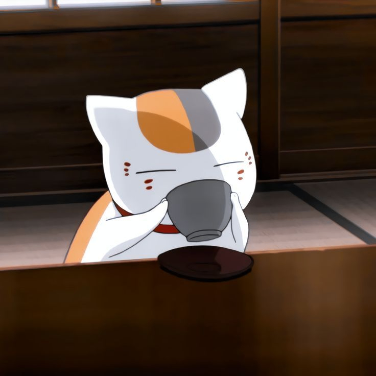 conwaymellor (conwaymellor.lens) Lens social identity (.lens handle) PFP