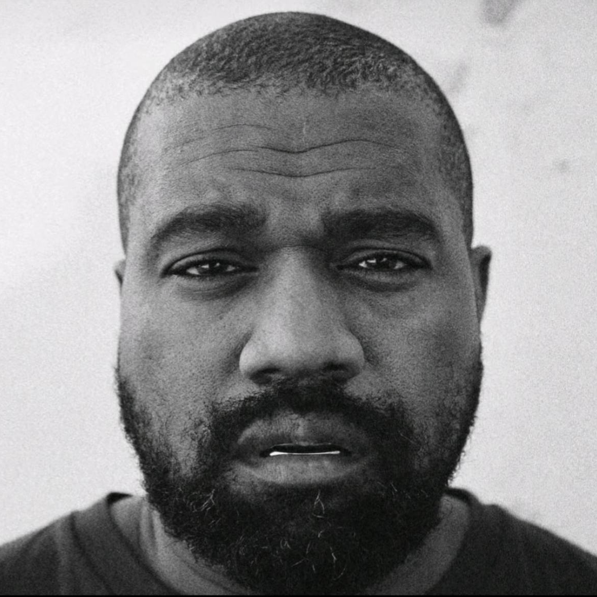 Mute 🦇🟩 (zxcmute.lens) Lens social identity (.lens handle) PFP