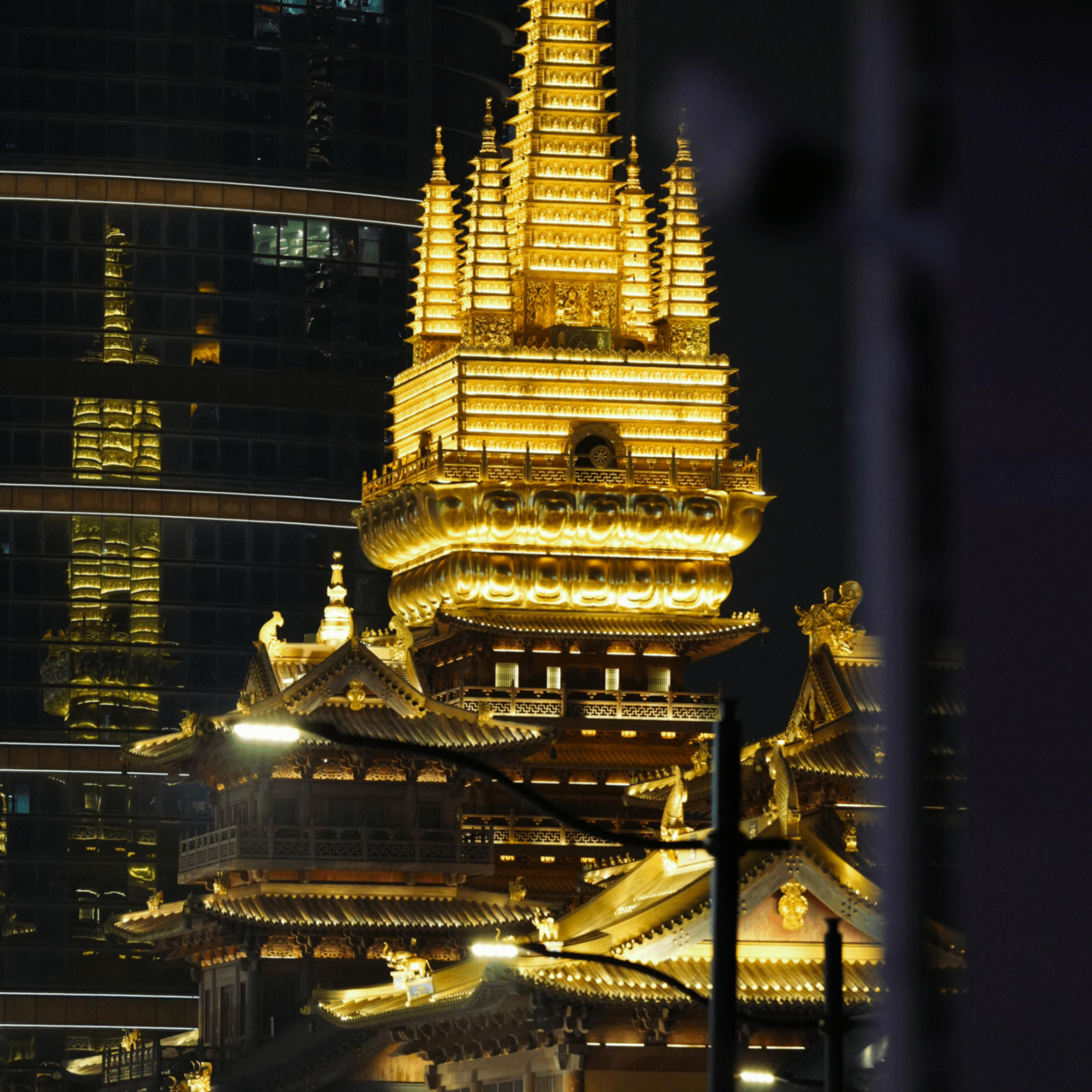 mites (mites.lens) Lens social identity (.lens handle) PFP