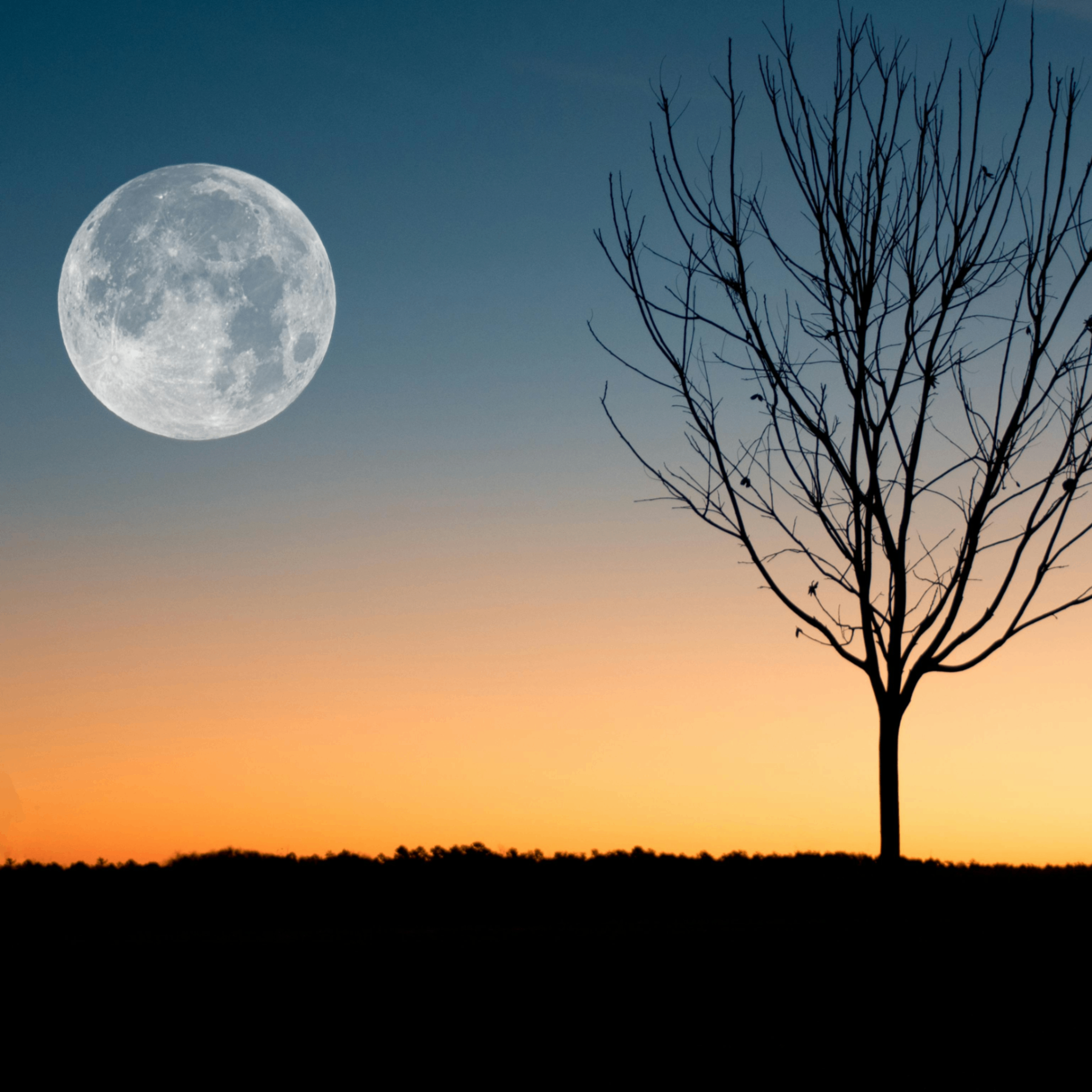 stiano (stiano.lens) Lens social identity (.lens handle) PFP