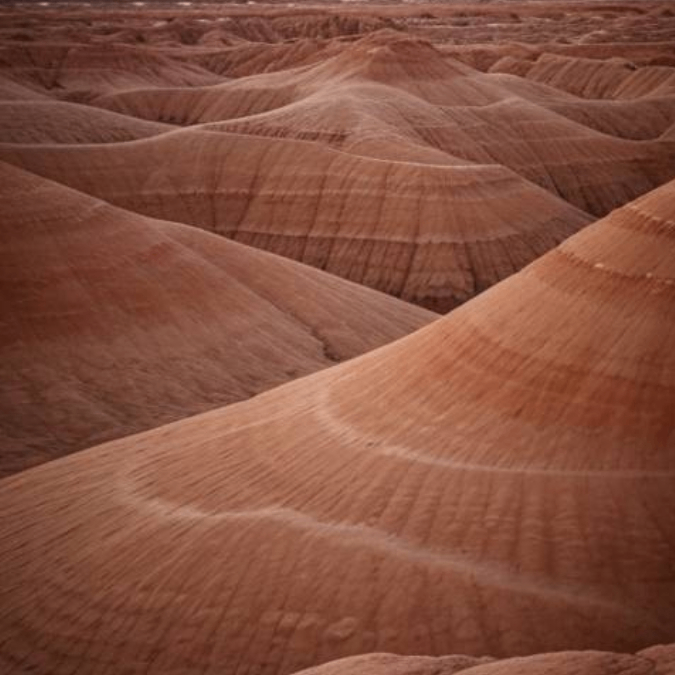 leileio (diury.lens) Lens social identity (.lens handle) PFP