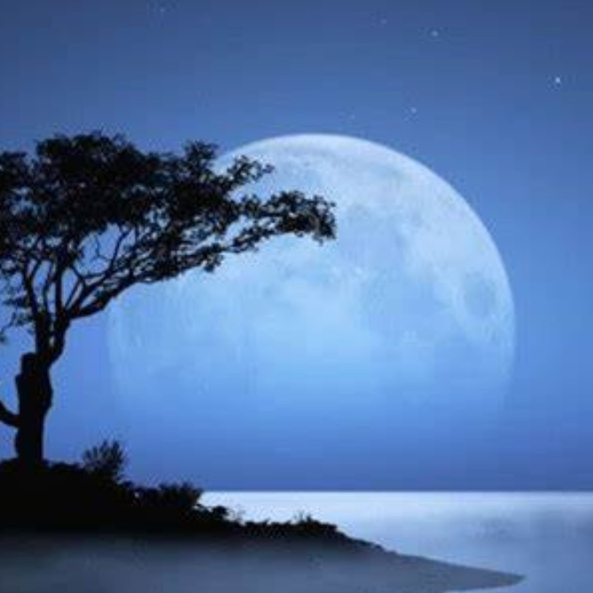 VelvetTouch (aocyehfj.lens) Lens social identity (.lens handle) PFP