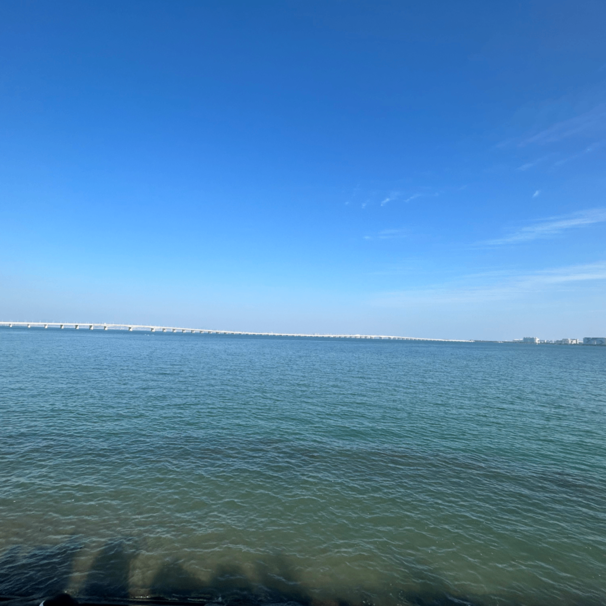 z38 (zksync38.lens) Lens social identity (.lens handle) PFP