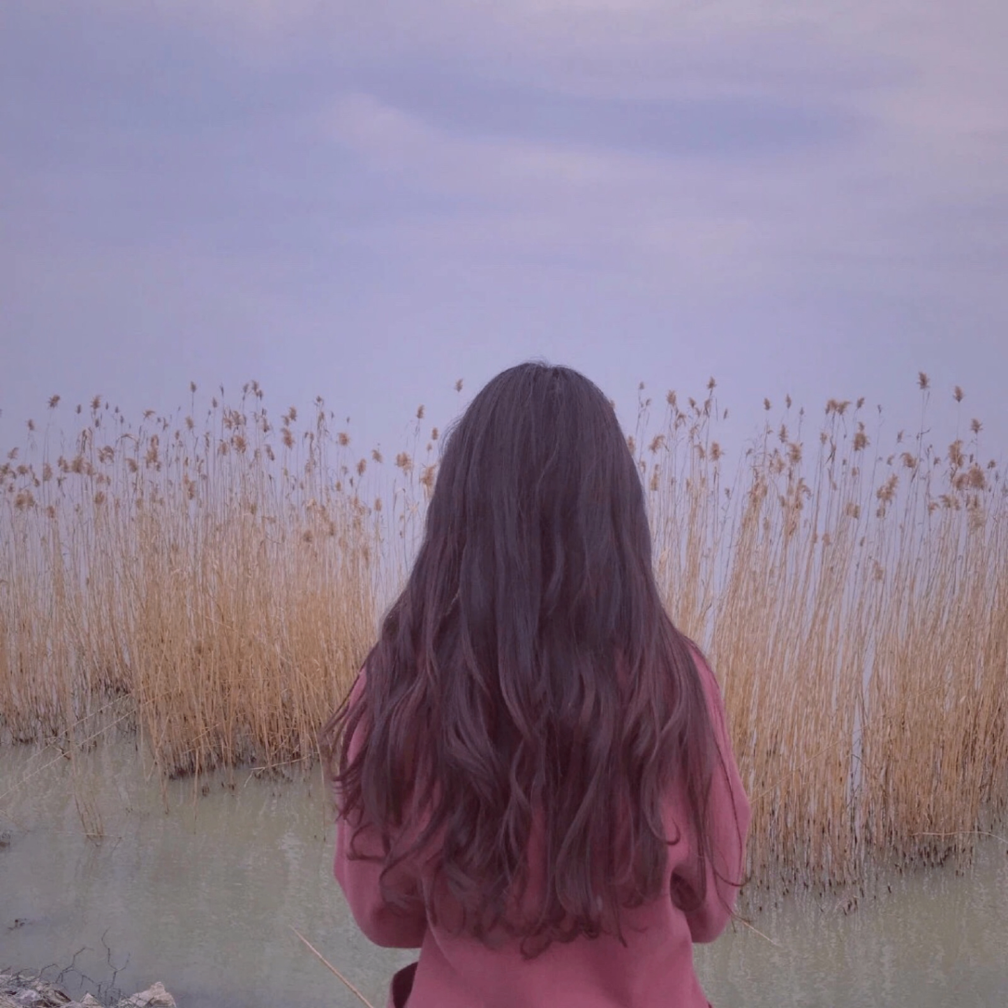 Bre12Emo (bre12emo.lens) Lens social identity (.lens handle) PFP