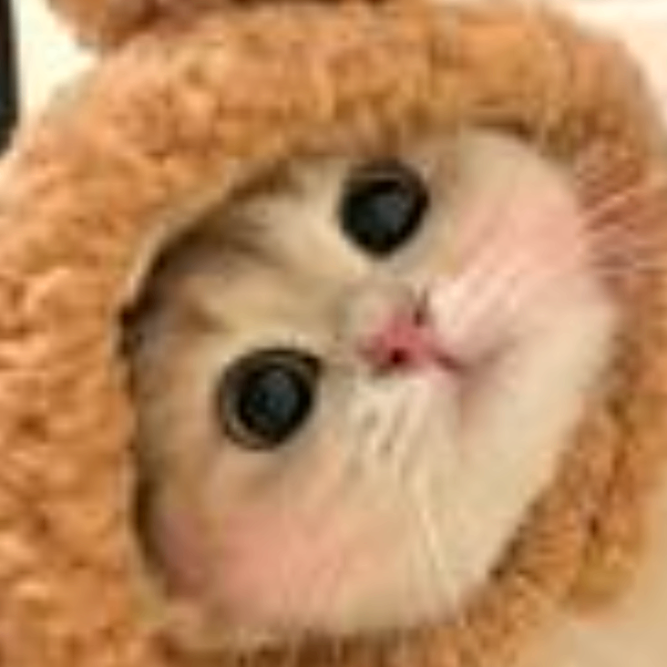 muuuu (dyyyyy.lens) Lens social identity (.lens handle) PFP